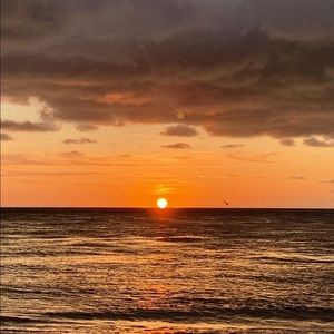 Meet your Posher, Julianna